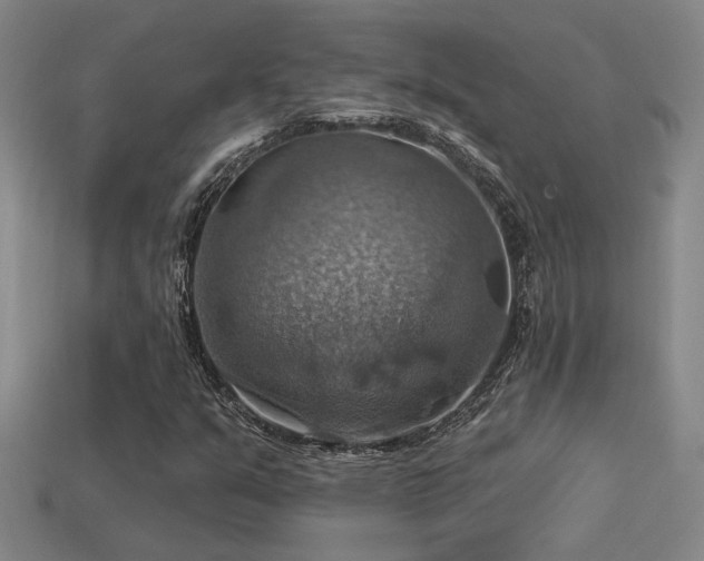 X0000114421351200910161219