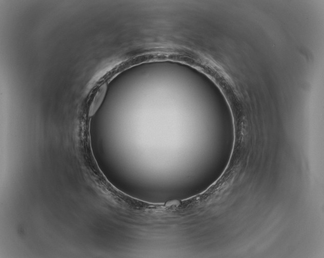 X0000114421352200910161219
