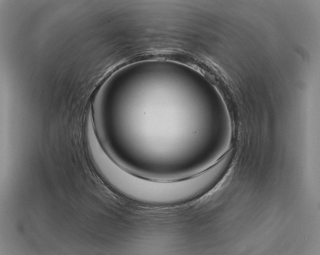 X0000114421353200910161219