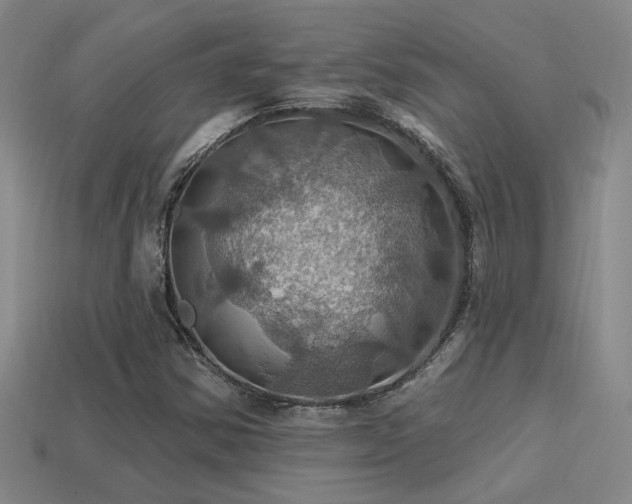 X0000114421354200910161219