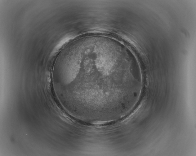 X0000114421355200910161219