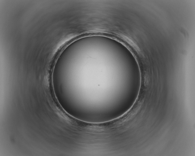 X0000114421356200910161219