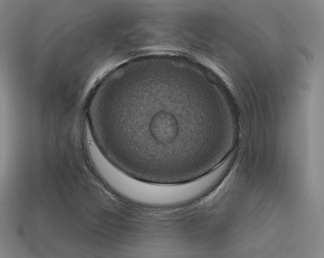 X0000114421357200910161219