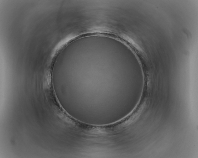 X0000114421358200910161219