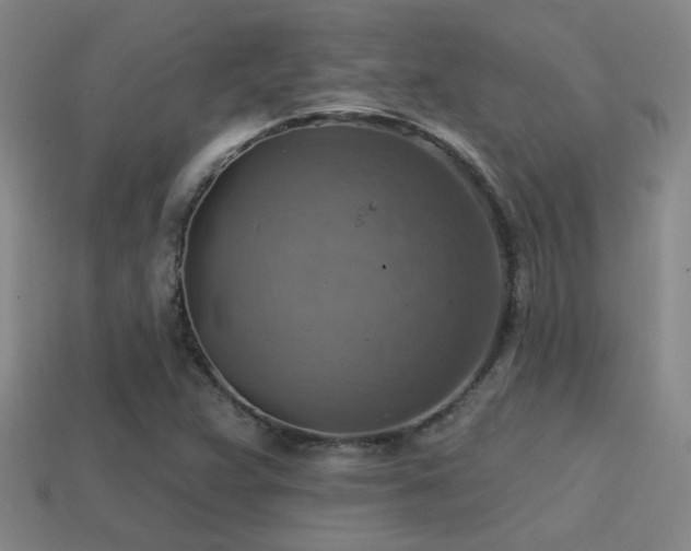 X0000114421359200910161219