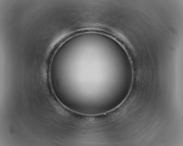 X0000114421360200910161219