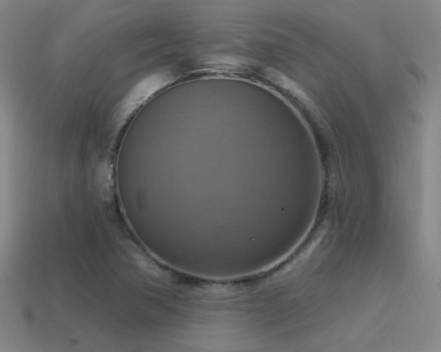 X0000114421362200910161219