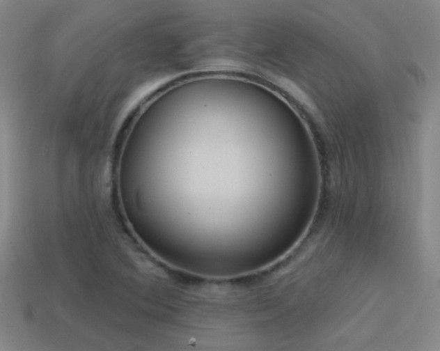 X0000114421364200910161219