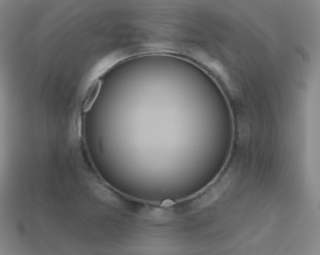 X0000114421365200910161219