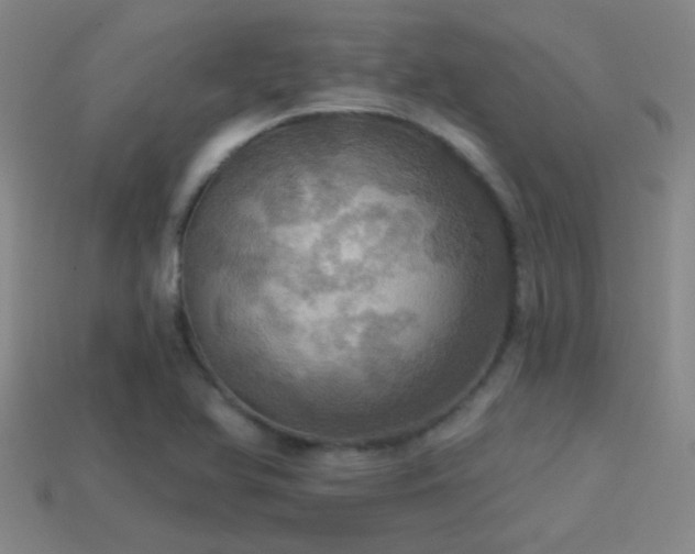 X0000114421366200910161219