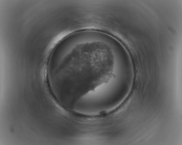 X0000114421367200910161219