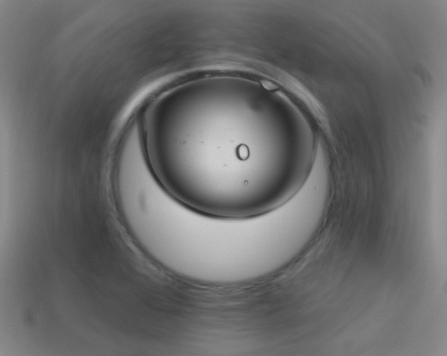 X0000114421368200910161219