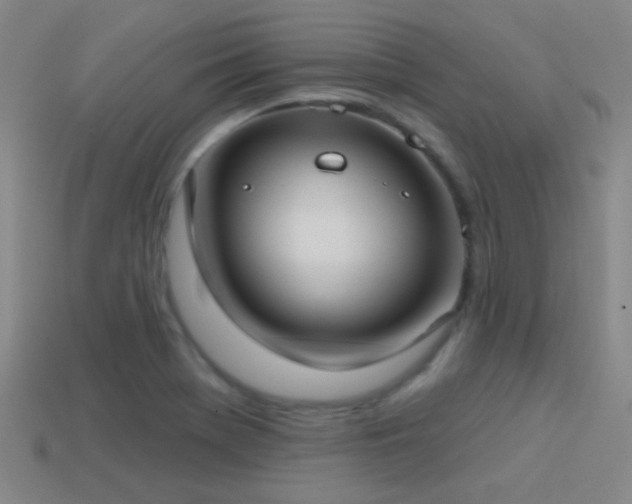X0000114421369200910161219