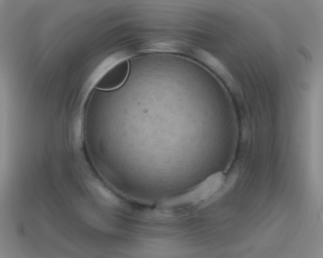 X0000114421370200910161219
