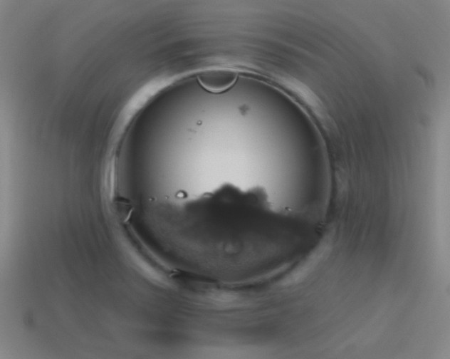 X0000114421371200910161219