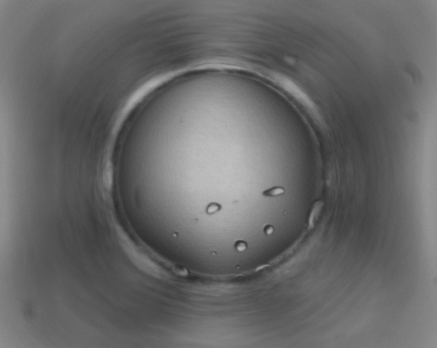 X0000114421372200910161219