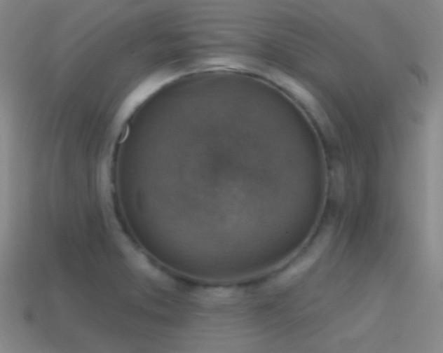 X0000114421373200910161219