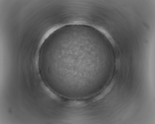 X0000114421374200910161219