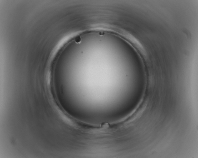 X0000114421376200910161219