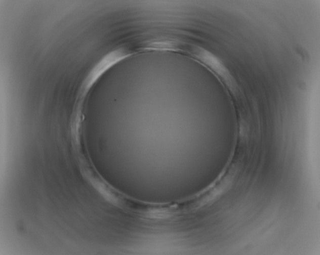 X0000114421378200910161219