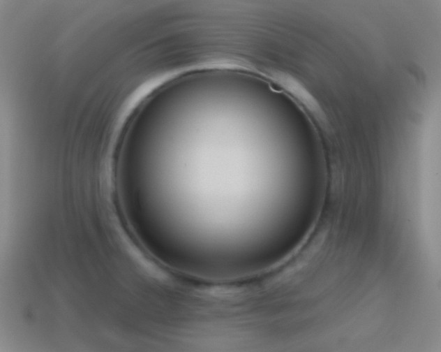 X0000114421380200910161219