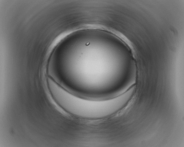 X0000114421381200910161219