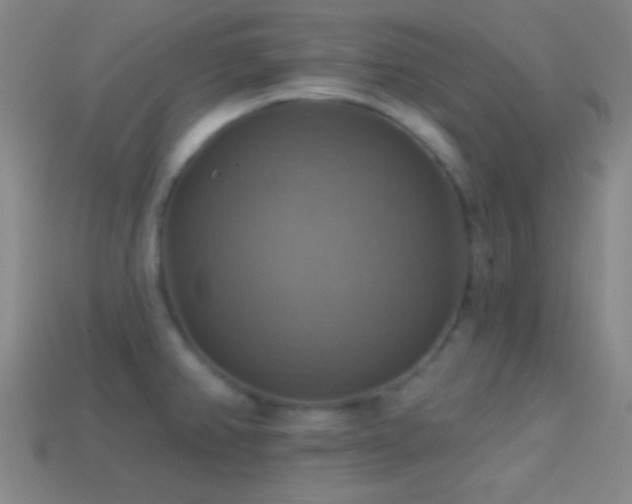 X0000114421382200910161219