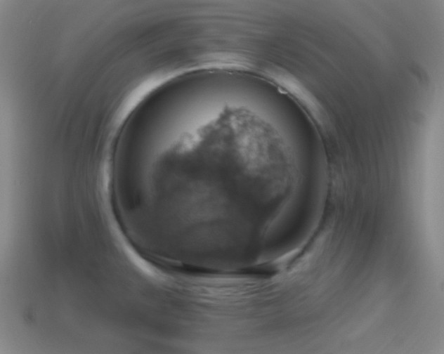 X0000114421383200910161219
