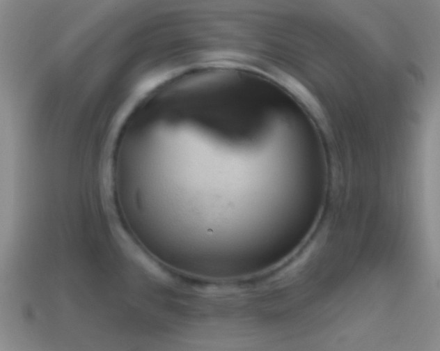 X0000114421384200910161219