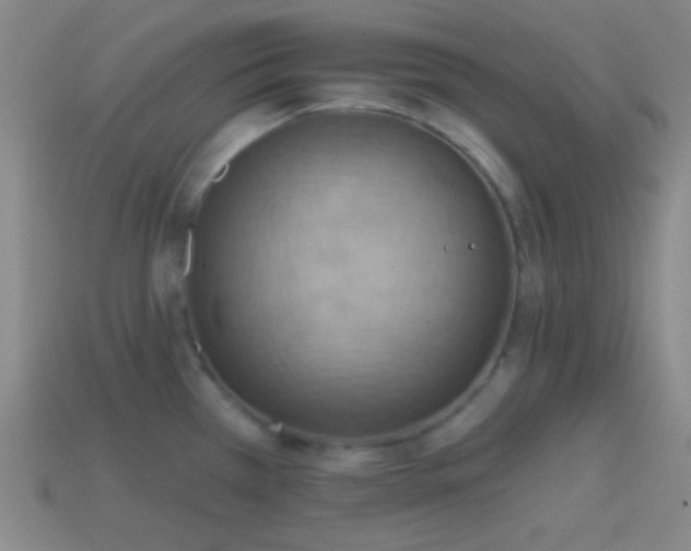 X0000114421385200910161219