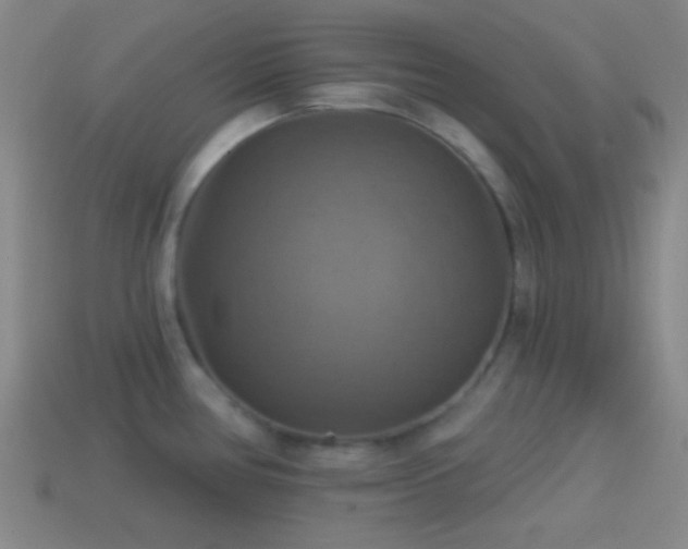 X0000114421386200910161219