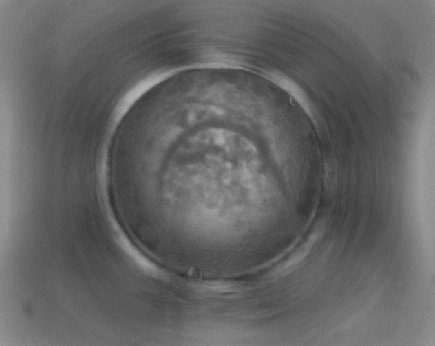 X0000114421387200910161219