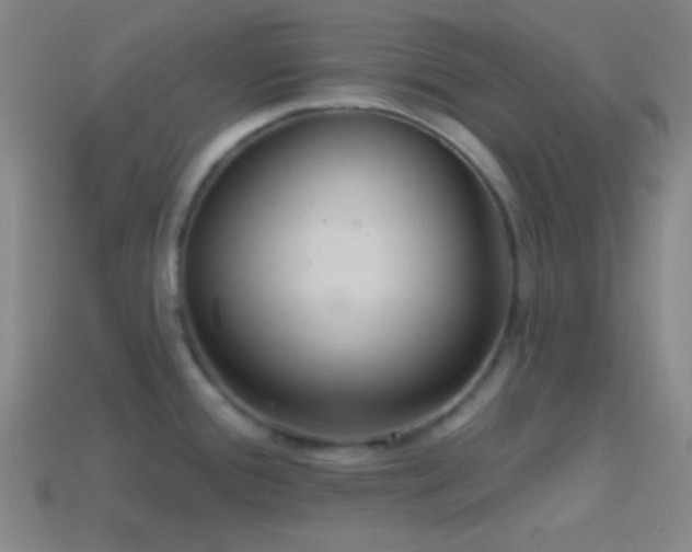 X0000114421388200910161219