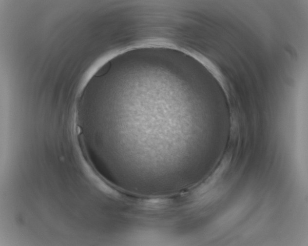 X0000114421390200910161219