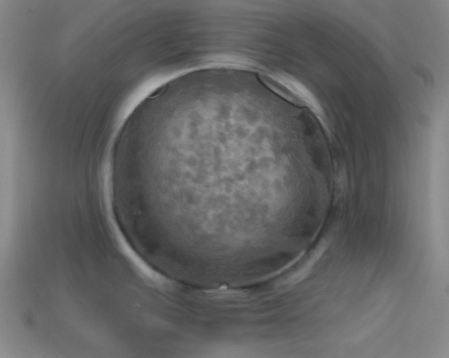 X0000114421391200910161219