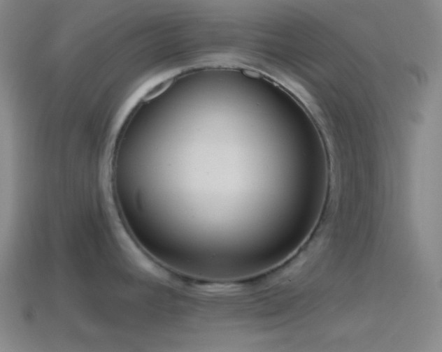 X0000114421392200910161219