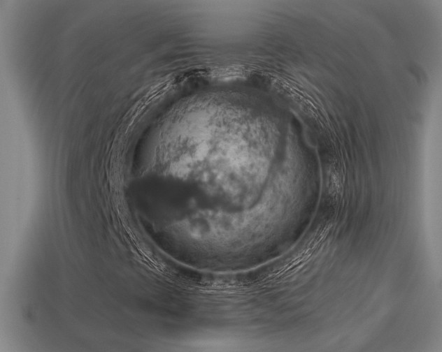 X0000114421393200910161218