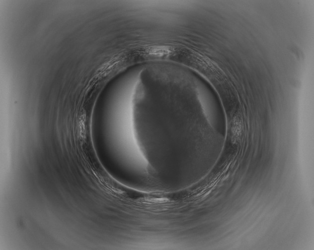 X0000114421394200910161218