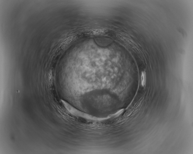 X0000114421395200910161218