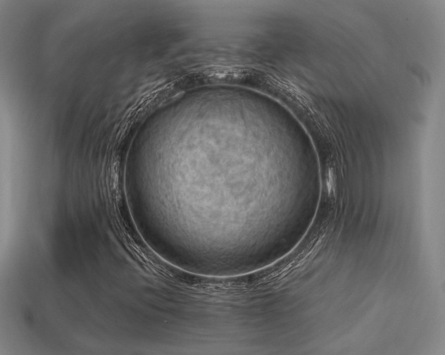 X0000114421396200910161218