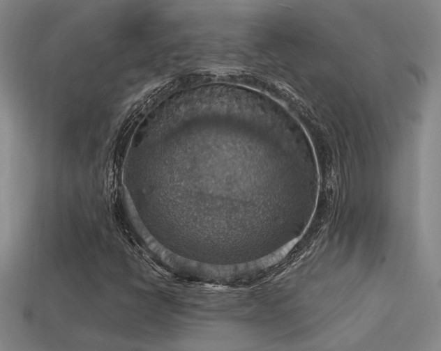 X0000114421398200910161218