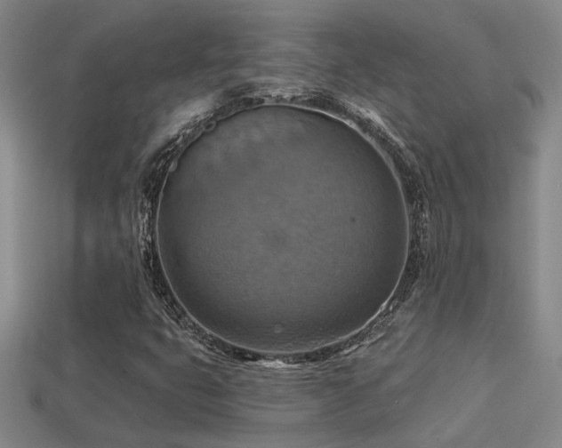 X0000114421399200910161218