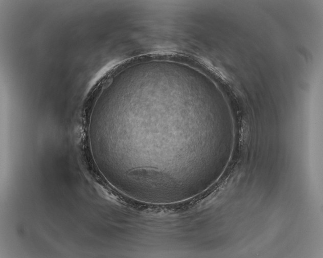 X0000114421400200910161218