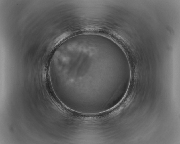 X0000114421401200910161218