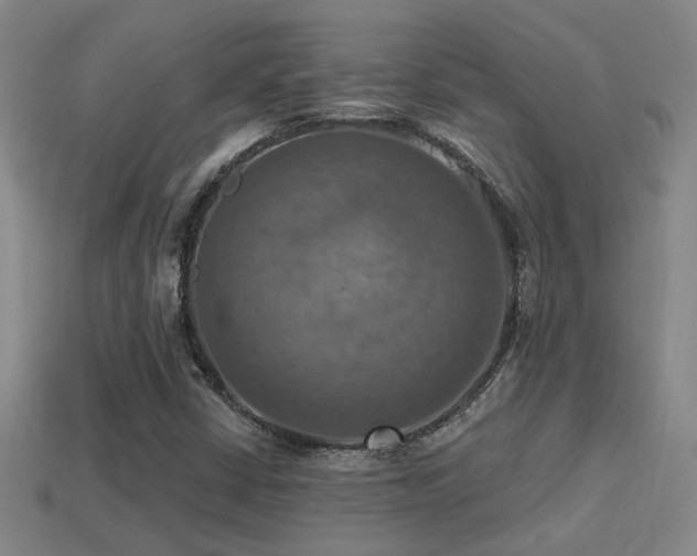 X0000114421402200910161218