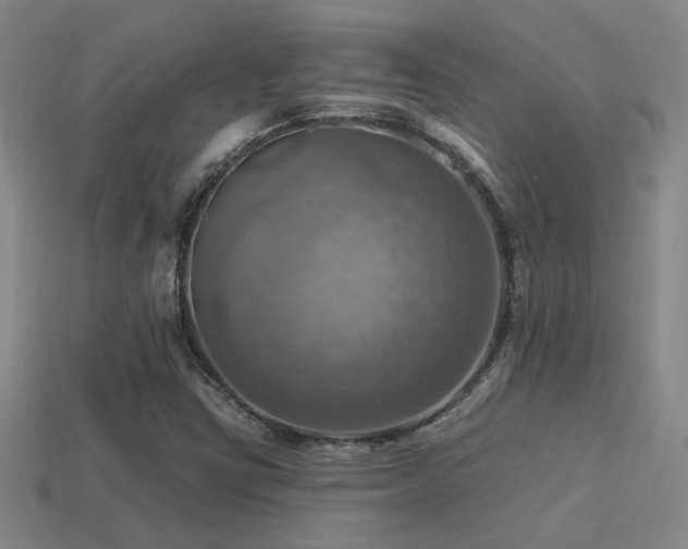 X0000114421403200910161218