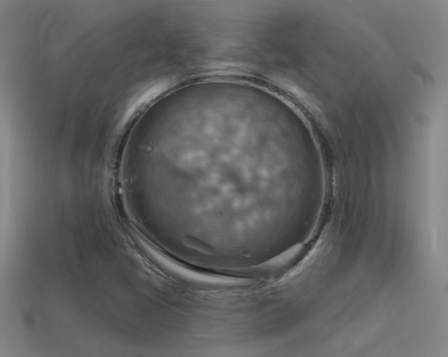 X0000114421405200910161218