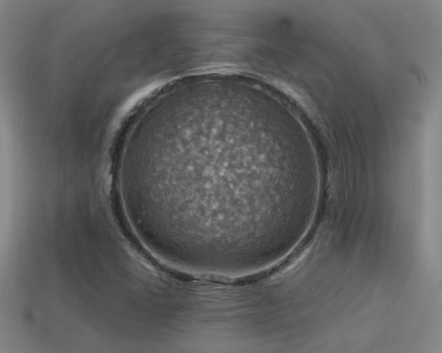 X0000114421406200910161218