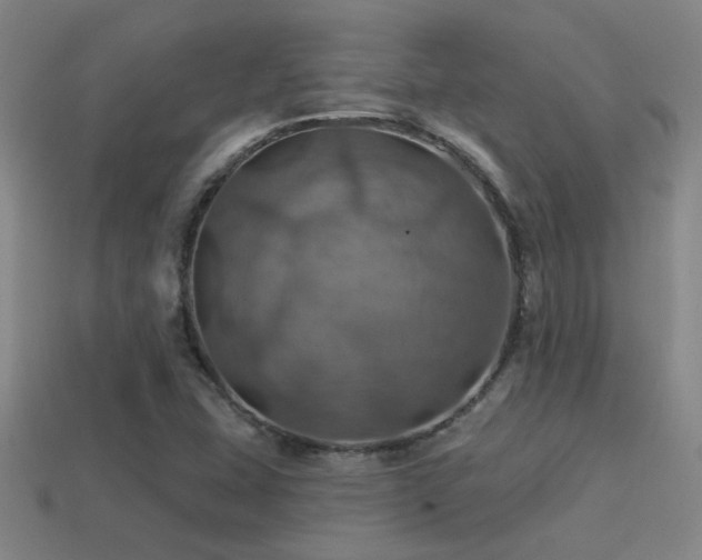 X0000114421407200910161218