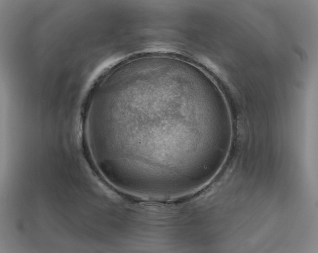 X0000114421408200910161218